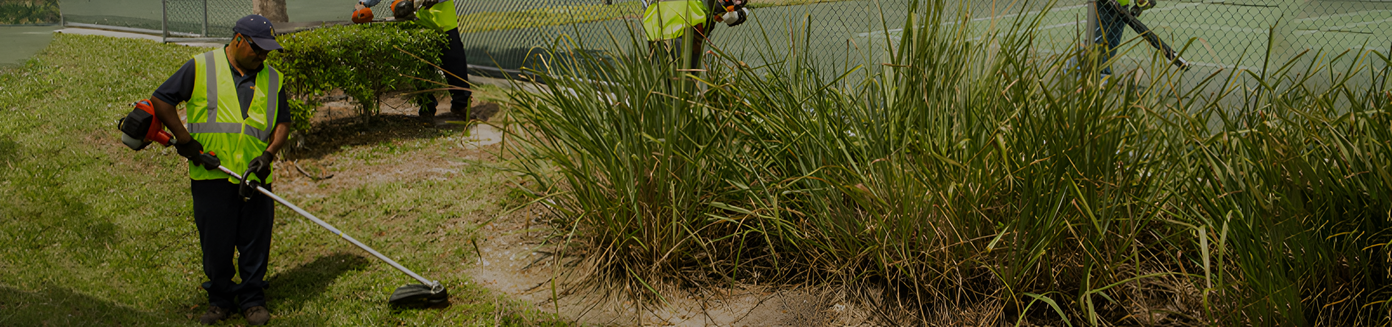 Landscaping Equipment & Tools