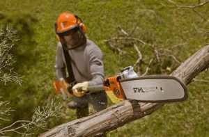 78e4b737 5a54 457b ad01 27ef46e89ef6 1 300x197 1